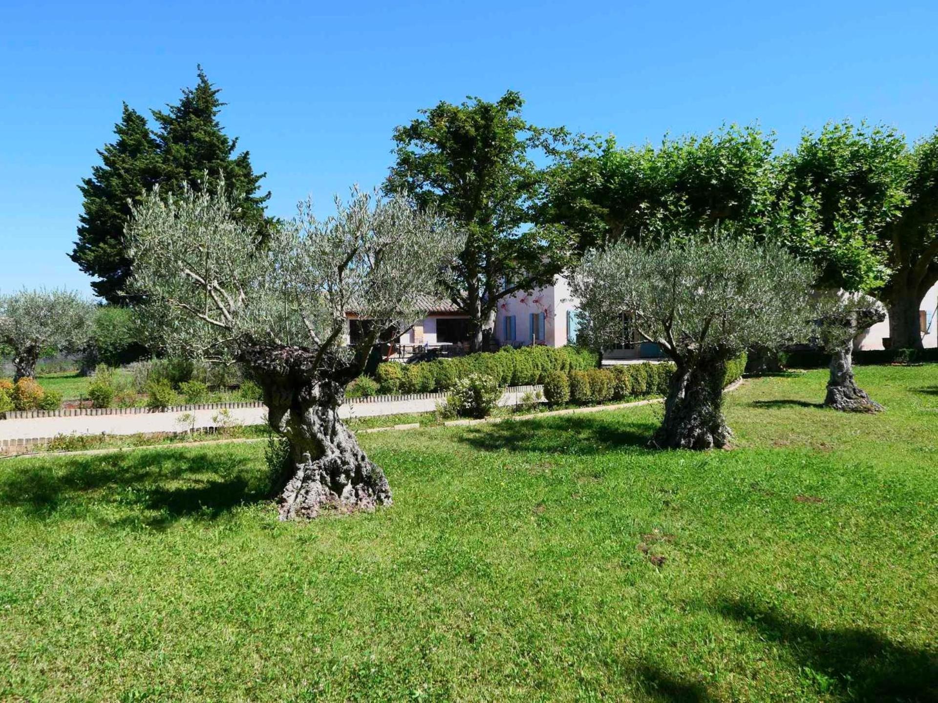 Superbe Mas Provençal 600m2 avec une Superbe Piscine Chauffée et très grand jardin 9000m2, situé au cœur du Luberon en campagne proche de L'Isle sur la Sorgue, 12 personnes, LS2-17 FIGNOULADO Cavaillon Exterior foto