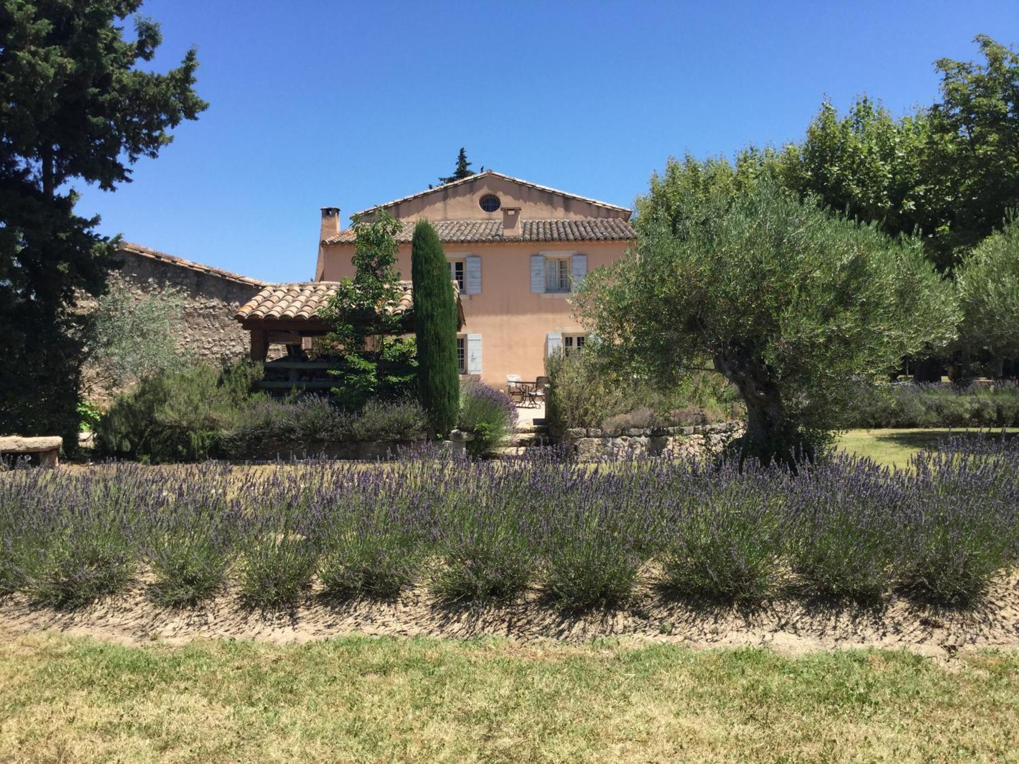 Superbe Mas Provençal 600m2 avec une Superbe Piscine Chauffée et très grand jardin 9000m2, situé au cœur du Luberon en campagne proche de L'Isle sur la Sorgue, 12 personnes, LS2-17 FIGNOULADO Cavaillon Exterior foto