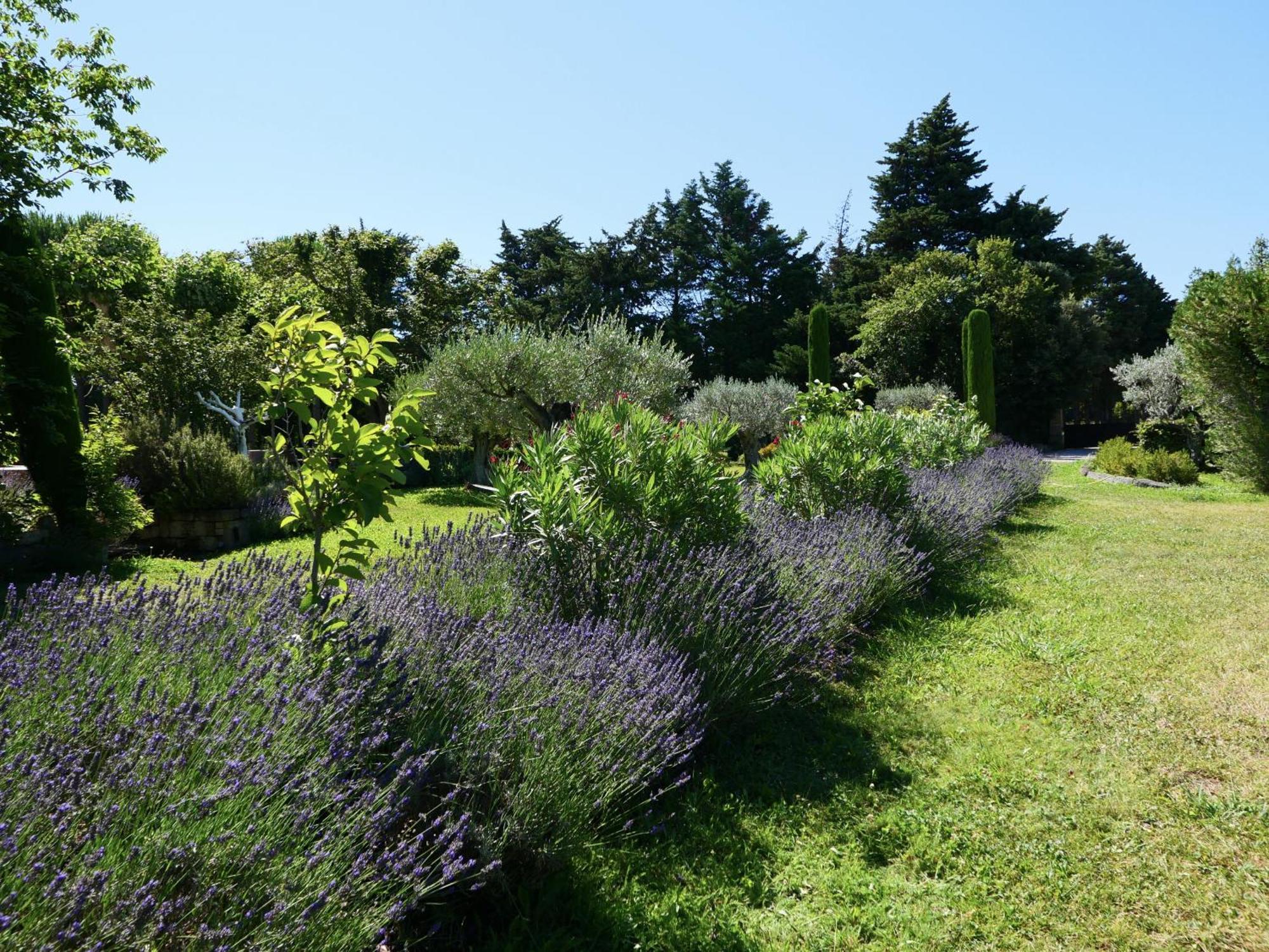 Superbe Mas Provençal 600m2 avec une Superbe Piscine Chauffée et très grand jardin 9000m2, situé au cœur du Luberon en campagne proche de L'Isle sur la Sorgue, 12 personnes, LS2-17 FIGNOULADO Cavaillon Exterior foto