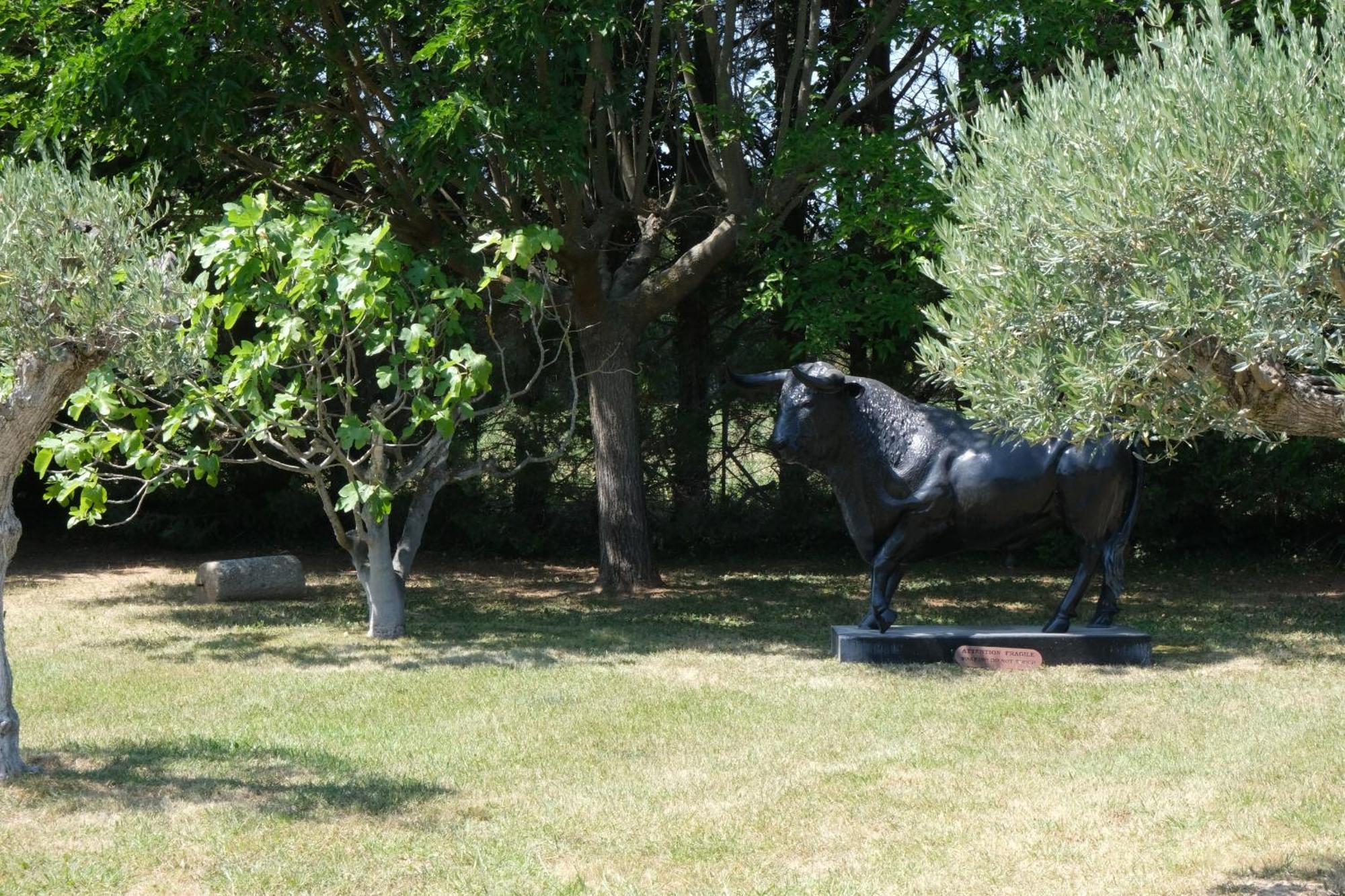 Superbe Mas Provençal 600m2 avec une Superbe Piscine Chauffée et très grand jardin 9000m2, situé au cœur du Luberon en campagne proche de L'Isle sur la Sorgue, 12 personnes, LS2-17 FIGNOULADO Cavaillon Exterior foto